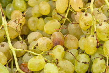 Close-up of grapes in the market.