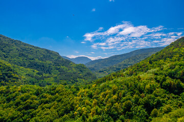 Obraz premium Vast mountain valley covered in lush green forest under a sunny blue sky