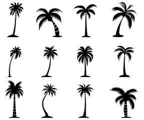 palm tree tropical plant nature jungle foliage silhouette collection