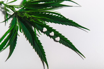 great medical cannabis on light with pills in the form of a heart