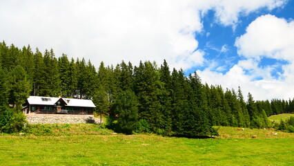 auf der Steyersberger Schwaig