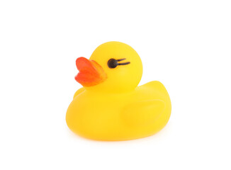 One cute rubber duck isolated on white