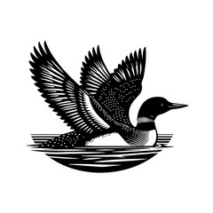Obraz premium Black and White Loon Bird in Water.
