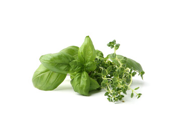 Different fresh green herbs isolated on white