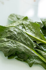 fresh spinach leaves close up

