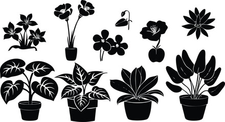 black and white illustration showcasing various potted houseplants and flowering plants in a stylized, silhouetted design