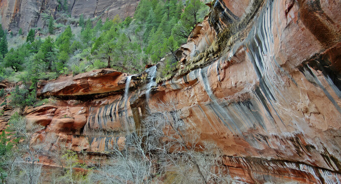 Zion National Park - Weeping Wall Trail
 - Powered by Adobe