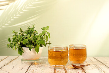 Lemon mint tea on a wooden table, a bouquet of wild medicinal herbs, a collection of useful herbs for treatment according to folk recipes. Alternative medicine concept, green pharmacy advertisement.
