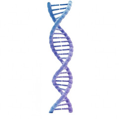 DNA strand isolated on transparent background, PNG, DNA structure, genetic material, molecular biology, genome PNG, DNA helix, DNA chain