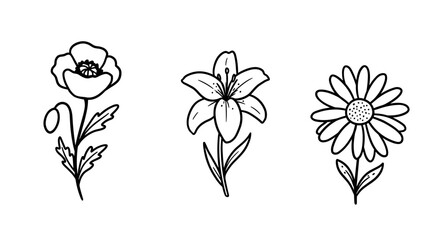 Set Outline 3 Icons, Black on White, Doodle, Different Flower  