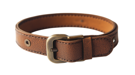 A brown dog belt with a shiny silver buckle displayed on a plain white background or transparent png 