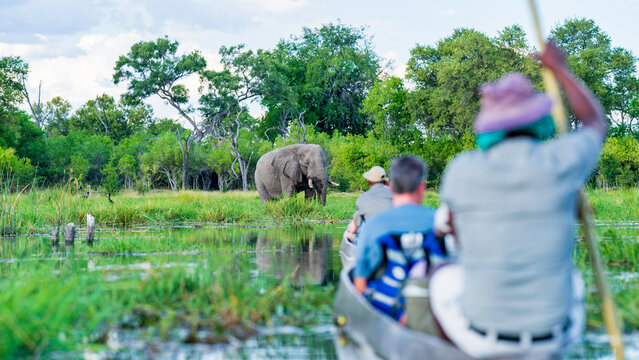 Fototapeta Scenic mokoro safari on Khwai River, Okavango Delta, Botswana
