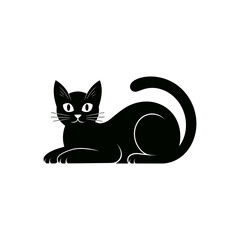 black cat on a white background photo image free download.