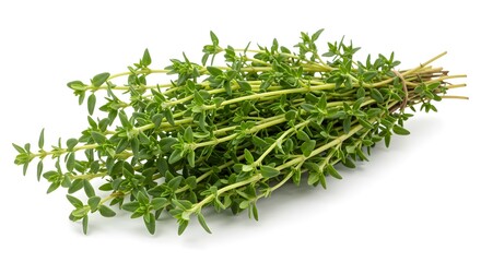 A bundle of fresh thyme sprigs tied together on a white background in a studio setting close up view ai generative