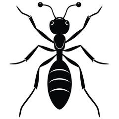 ant black silhouette vector