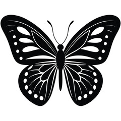 butterfly black silhouette vector