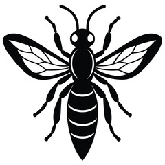 wasp black silhouette vector icon