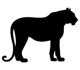 Majestic Standing Tiger Silhouette