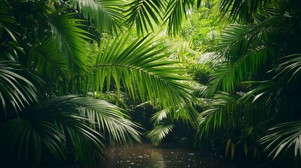 A lush, vibrant jungle scene showcasing an array of rich green palm leaves with a serene waterway flowing through. This image captures the beauty and tranquility of nature.