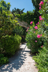 Medieval garden on the territory of the old town of Rhodes. Cypresses, shrubs, rhododendra, lemon trees, wildflowers