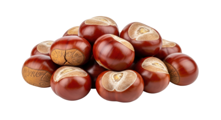 Isolated Pile of Chestnuts