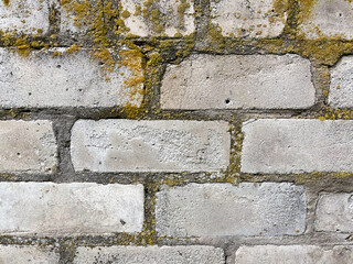 Texture of white sand-lime brickwork, old seams with moss, close-up