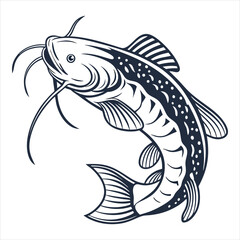 Catfish Fish 