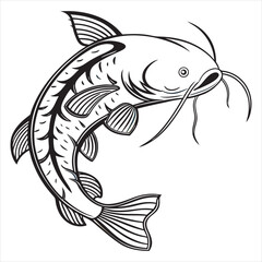 Catfish Fish 