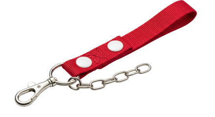 Isolated Red Keychain with Lobster Clasp
