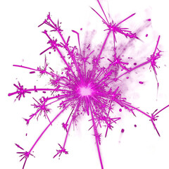 Obraz premium Sparkling Fireworks: A captivating burst of radiant fireworks, a vibrant display of light and energy illuminating the darkness with its mesmerizing patterns. 