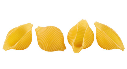 Fototapeta premium Isolated Conchiglie Pasta