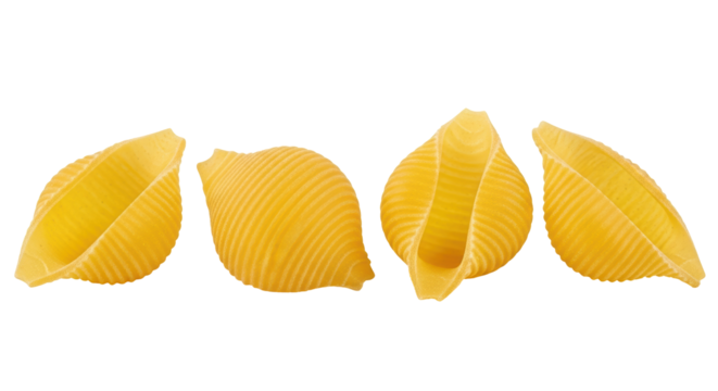 Isolated Conchiglie Pasta