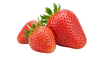Isolated Fresh Red Strawberries with Green Stems