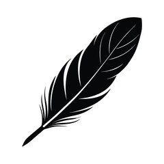 Obraz premium A feather or quill art illustration, suitable for a design element