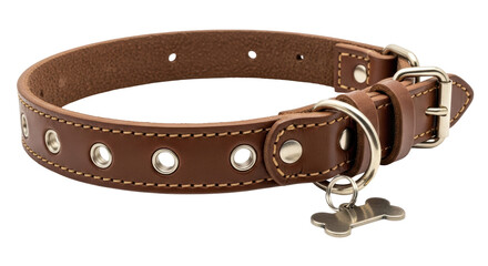 Isolated Brown Leather Dog Collar with Bone Tag