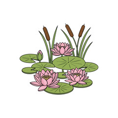 (Pink Water Lilies and Reeds. Vibrant aquatic blooms and tall marsh plants illustrate a serene scene. This elegant botanical artwork represents peace, growth, and natural beauty on dark.)