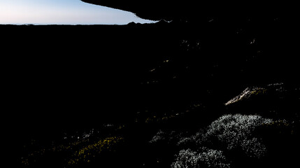 a charming abstract background with creative paint strokes