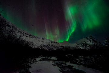 Aurora Boreal, Senja, Noruega
