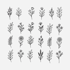 Floral Line Art Set design Vector Illustrations	