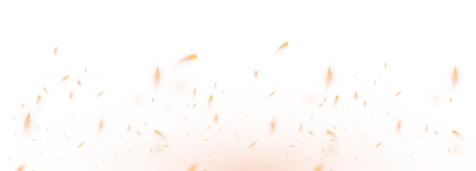 Fire spark overlay with smoke and flame. Grill heat glow in cloud isolated transparent PNG. Overlay effect of burn coal
