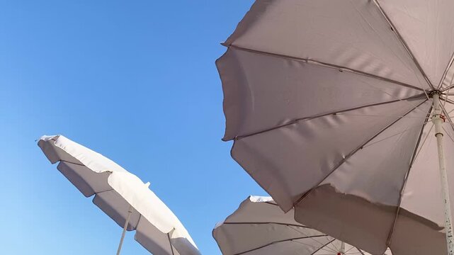 Bottom view of soft beige umbrellas dotting shore and swaying from light wind. Bright blue sky on background adds to serene ambiance, inviting visitors to unwind and enjoy warm weather