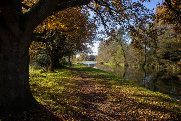 In the distance a senior lady walks on the footpath alongside the River Wey Navigation canal in Autumn, near the village of Ripley and close to Woking, Surrey