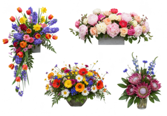 Photo of a vibrant collection of floral arrangements featuring tulips, hyacinths, peonies, protea, poppies, and daisies isolated on transparent background