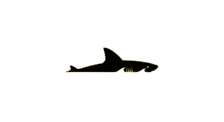 Silhouette of a shark with a prominent dorsal fin and visible teeth against a white background art work