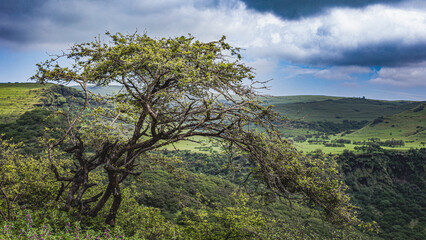 Obraz premium landscape of dhofar region of oman