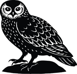 Snowy Owl On Rock Silhouette