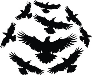 Vultures Circling Above Silhouette