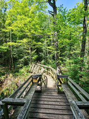 Obraz premium On a sunny day, a weathered wooden footbridge with railings and built-in seating stretches through lush green woods, blending rustic charm with natural beauty in a peaceful forest setting.