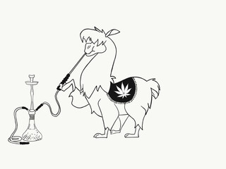 Llama hookah 