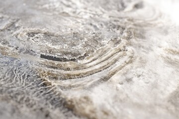 Abstract texture of ice crystals and water forming intricate patterns on a frozen surface.
